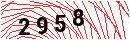 Security Verification