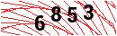 Security Verification
