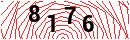 Security Verification