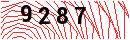 Security Verification