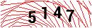 Security Verification