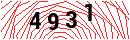 Security Verification