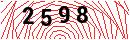 Security Verification