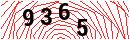 Security Verification