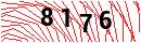Security Verification
