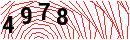 Security Verification