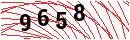 Security Verification