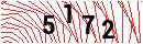 Security Verification