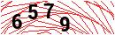 Security Verification