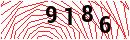 Security Verification
