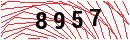 Security Verification