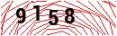 Security Verification