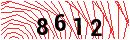 Security Verification