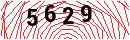 Security Verification