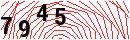 Security Verification