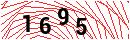 Security Verification