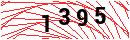 Security Verification