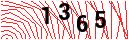 Security Verification