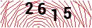 Security Verification