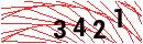 Security Verification