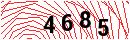 Security Verification