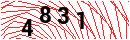Security Verification