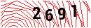 Security Verification