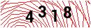 Security Verification