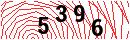 Security Verification