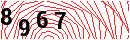 Security Verification