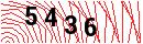 Security Verification