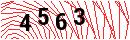 Security Verification