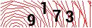 Security Verification
