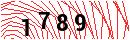 Security Verification