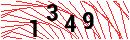 Security Verification