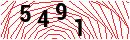 Security Verification
