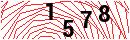 Security Verification