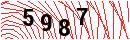 Security Verification