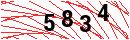 Security Verification