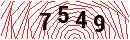 Security Verification