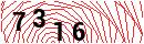 Security Verification