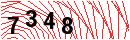 Security Verification