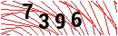 Security Verification