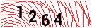 Security Verification