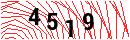 Security Verification