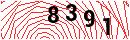Security Verification