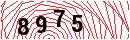 Security Verification