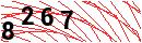Security Verification
