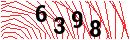 Security Verification