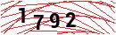 Security Verification